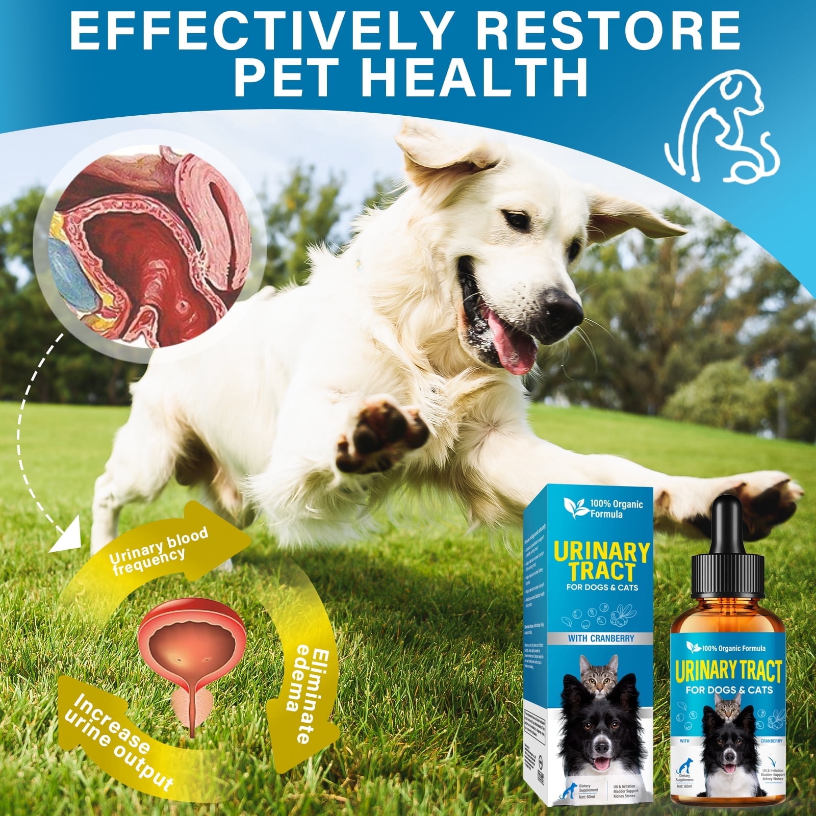 Cat & Dog Cranberry Urinary Tract, Urinary Tract Infection Treatment for Cats and Dogs, 60ML