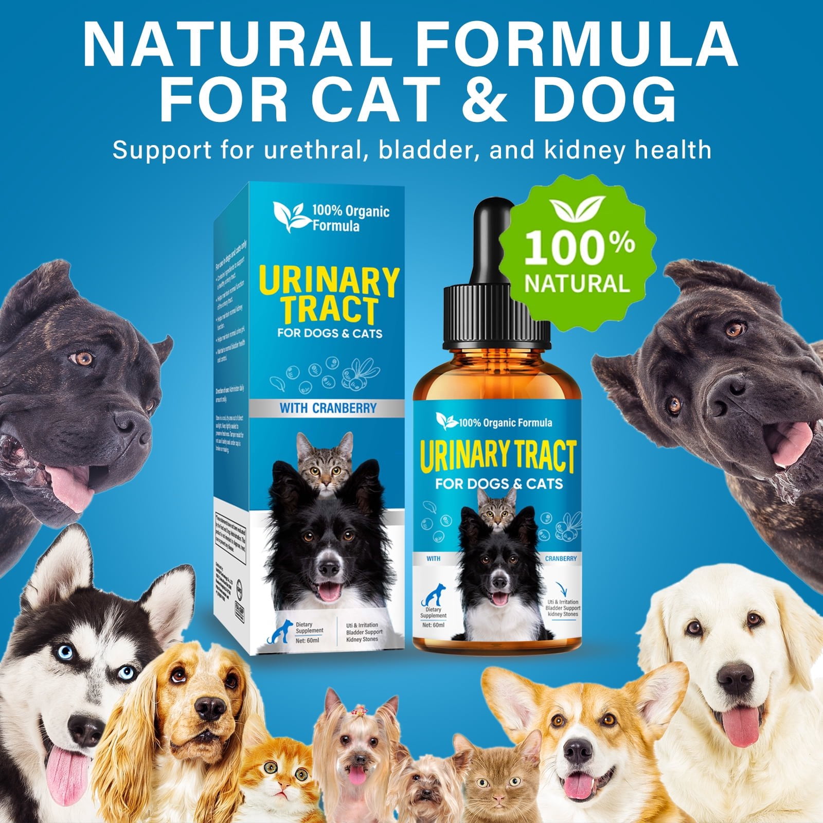 Cat & Dog Cranberry Urinary Tract, Urinary Tract Infection Treatment for Cats and Dogs, 60ML