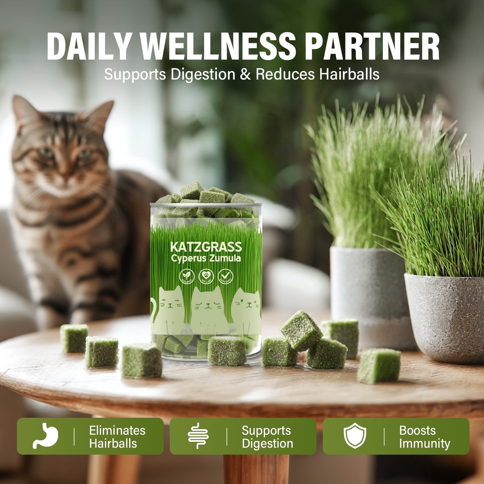 Cat Grass Treats, Cat Treats for Teeth Cleaning and Hairball Removal, Cat Food for Training Rewards Treats