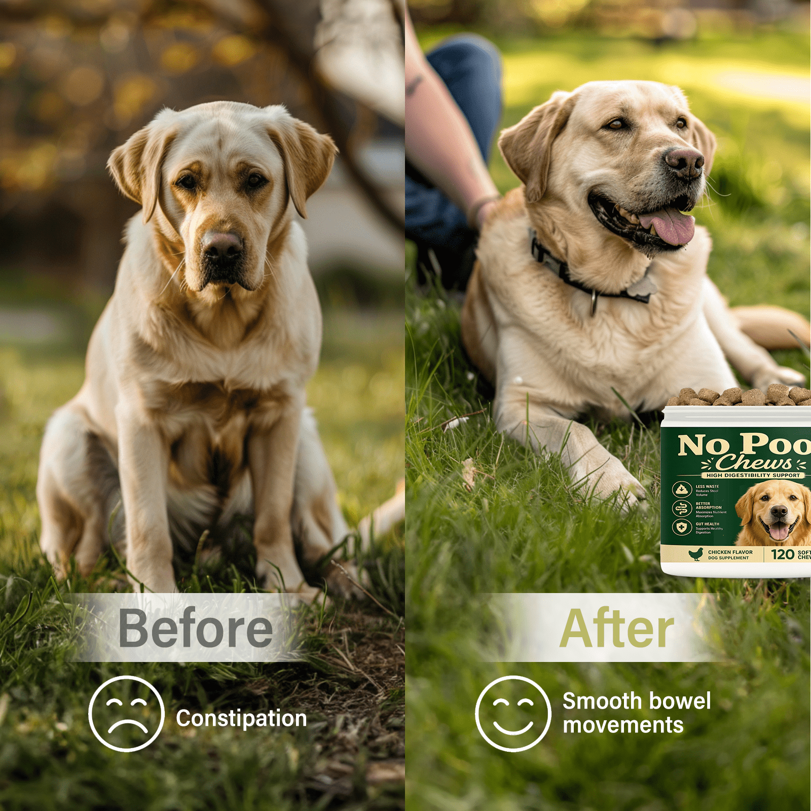 No Poo Chews for Dogs, Pupp, Soft Dog Chews, 120Ct